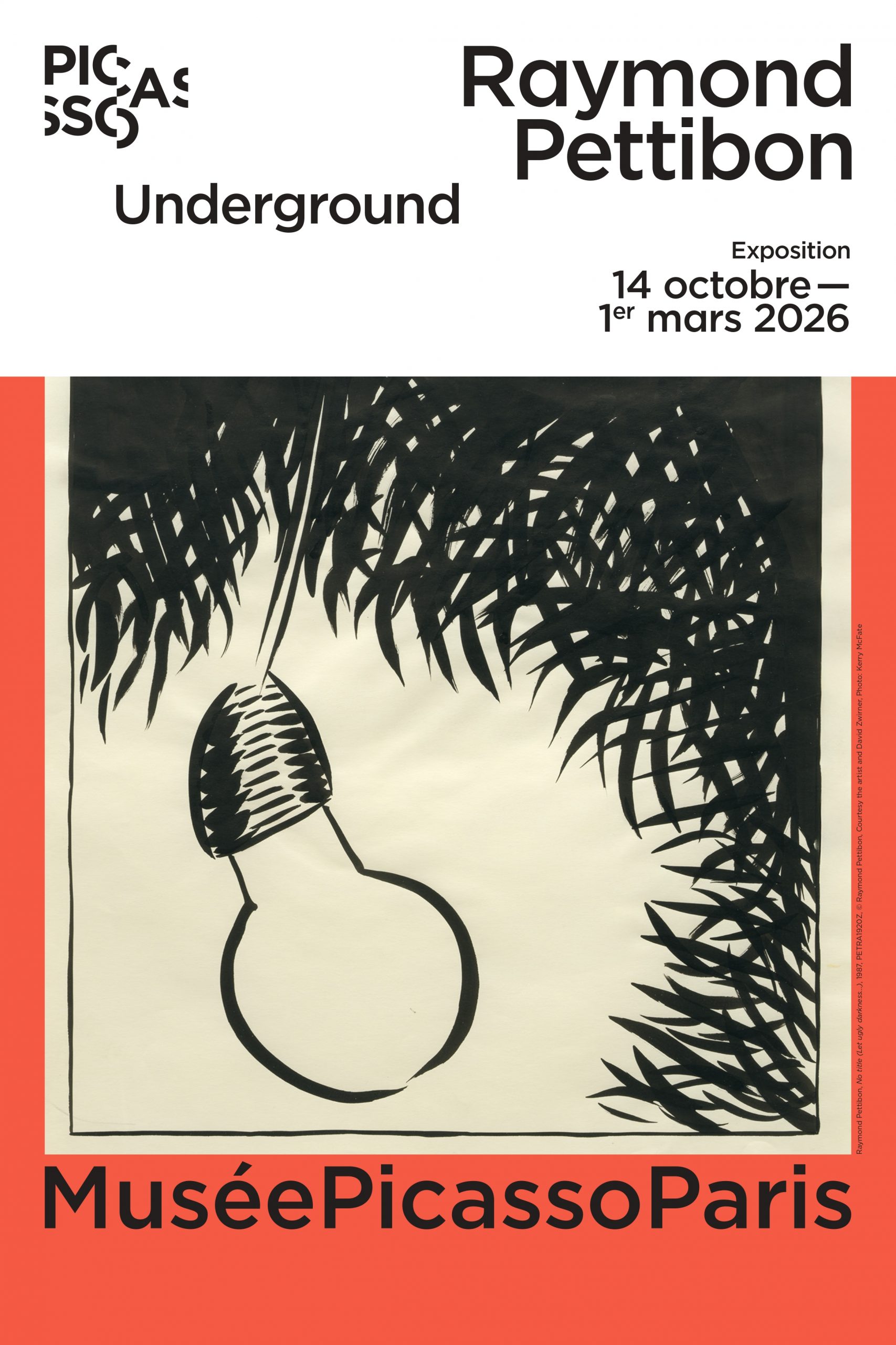 Affiche de l'exposition « Raymond Pettibon. Underground », musée Picasso Paris